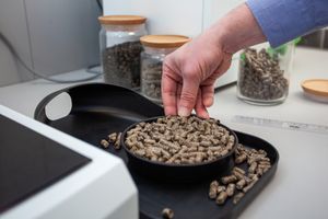 Metrological Traceability of Grain Reference Standards
